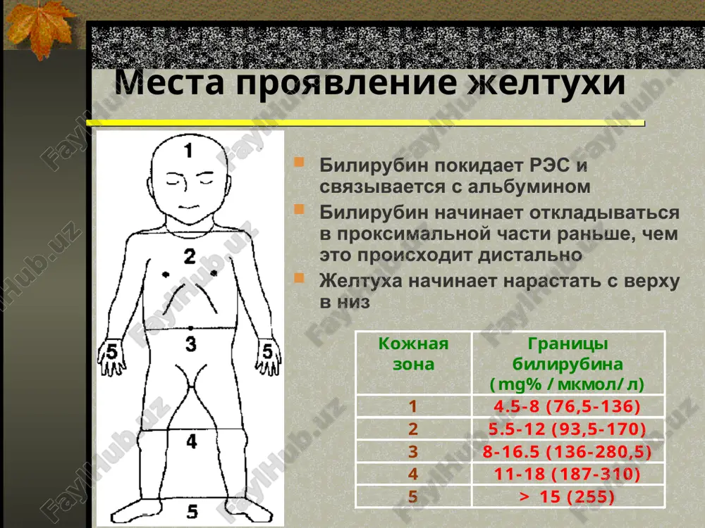 ayut v krov ploda i vizivayut gemoliz. sensibilizatsiya ne obyazatelna (!). abo gemoliticheskaya bolezn xotya v 20-25% vsex beremennostey soprovojdaetsya abo nesovmestimostyu, odnako tolko 3-10% sluchaev eto proyavlyaetsya gbn: materinskie anti-a i anti-b antitela prinadlejat k klassam ig g, m, a, no cherez platsentu proxodit tolko ig g; eritrotsiti novorojdennix imeyut 3 raza menshe antigenov a i b po sravneniyu so vzroslimi, po etomu menshe antitel svyazivaetsya s eritrotsitami; v otlichii ot antigena rh, antigeni a i b naxodyatsya vo mnogix tkanyax, poetomu materinskie antitela “osedayut” na platsente i v drugix tkanyax. v 50% sluchaev proyavlyaetsya vo vremya pervoy beremennosti, i s posleduyushimi beremennostyami ne proisxodit bolee znachitelnogo povrejdenie ploda; diagnostika gemoliticheskoy bolezni anamnez: gestatsionniy vozrast; gruppa krovi materi (i ottsa); titr antitel; akusherskiy anamnez (napr., diabet); ispolzuemie materyu lekarstva; vedenie rodov (oksitotsin, nalojenie shiptsov i dr.); etnicheskiy sostav semi (vrojdennie defekti eritrotsitov). laboratornie issledovaniya: gruppa krovi; proba coombs; obshiy …