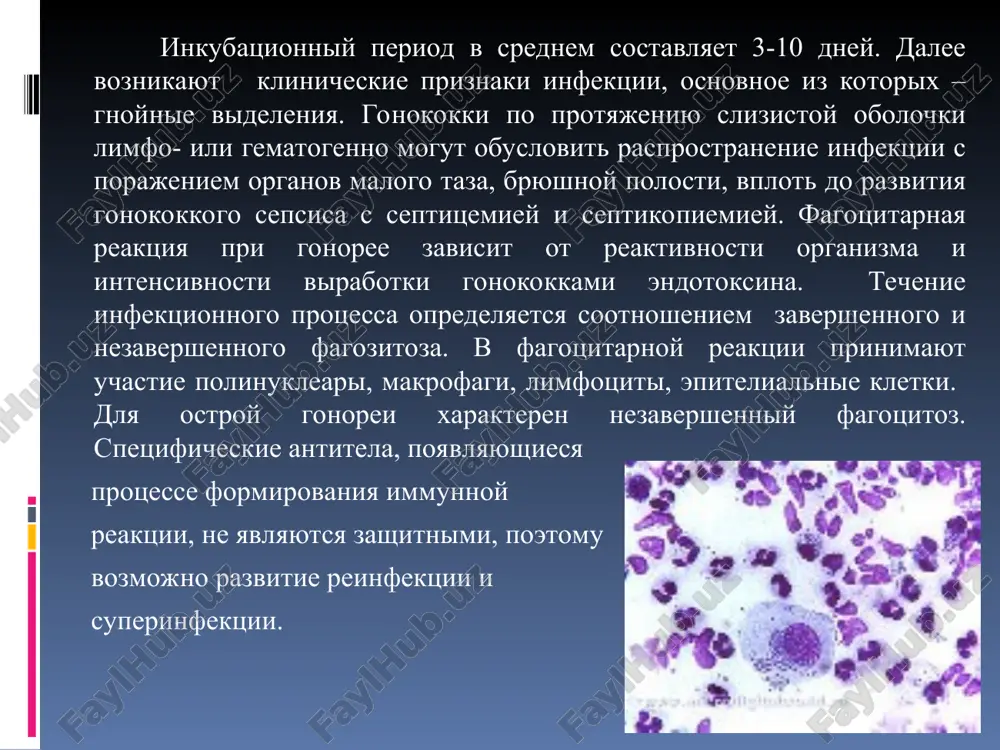 eniyu mocheispuskaniya, formirovaniyu striktur uretri. * kollikulit voznikaet pri rasprostranenii vospalitelnogo protsessa na oblast semennogo bugorka i proyavlyaetsya bolevim sindromom razlichnoy stepeni virajennosti s irradiatsiey v poyasnichnuyu oblast, bedra, niz jivota, polovoy chlen. kuperit – vospalenie bulbouretralnix jelez. xarakterizuetsya pulsiruyushimi bolyami v promejnosti, uchashennim ili zatrudnennim mocheispuskaniem, soprovojdaetsya oznobom, povisheniem temperaturi tela svishe 38°s. prostatit – naibolee rasprostranennoe oslojnenie pri gonoree. infitsirovanie prostati proisxodit pri porajenii gonokokkami zadney uretri. mojet protekat v ostroy i xronicheskoy forme. vezikulit - eto vospalenie semennix puzirkov, kotoroe chasto soprovojdaet prostatit. epididimit – vospalenie pridatka yaichka, kotoroe nosit odnostoronniy protsess. fimoz i balanopostit chashe voznikayut pri nalichii udlinennoy i uzkoy krayney ploti. porajenie koji proyavlyaetsya v vide slegka boleznennix eroziy ili yazv, pokritix korochkoy, s venchikom giperemii po pereferii. * * diagnostika vklyuchaet sbor anamneza i jalob, osmotr, reshayushee znachenie imeyut laboratornie issledovaniya. etiologicheskiy diagnoz ustanavlivaetsya na osnovanii bakterioskopicheskogo i bakteriologicheskogo metodov issledovaniya. materialom dlya …