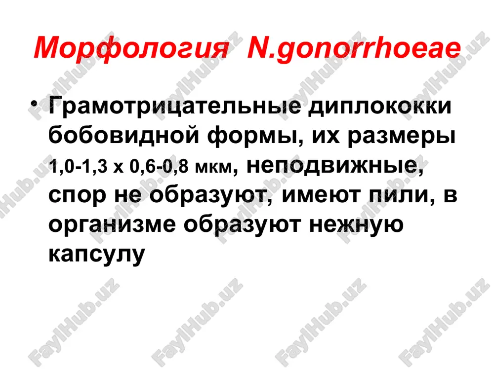 immuniteta, sekretornim immunoglobulinam siga, stoykiy postinfektsionniy immunitet ne razvivaetsya, vozmojni povtornie zarajeniya (reinfektsiya). epidemiologiya istochnik – bolnoy chelovek, kak pravilo, s bessimptomnoy formoy infektsii puti peredachi: osnovnoy – polovoy porajenie glaz u vzroslix voznikaet vsledstvie zanosa vozbuditeley rukami s mochepolovix organov infitsirovanie novorojdennix pri proxojdenii ploda po rodovim putyam (blennoreya) vozmojno takje bitovoe zarajenie devochek pri narushenii gigienicheskix pravil ("gorshechnaya" infektsiya, polzovanie obshimi predmetami lichnoy gigieni, naprimer gubkami, i pr.). mikrobiologicheskaya diagnostika gonorei issleduemie materiali: gnoy iz uretri, sliz iz sheyki matki, otdelyaemoe drugix porajennix slizistix obolochek, osadok mochi, punktat iz sustavax (pri artrite), krov. metodi diagnostiki: 1. mikroskopicheskiy 2. bakteriologicheskiy. 3. serologicheskie testi dlya viyavleniya ag gonokokka v klinicheskom materiale – mif, ifa 4. polimeraznaya tsepnaya reaktsiya - ptsr mikroskopicheskaya diagnostika ostroy gonorei issleduemiy material (gnoy iz uretri) krasyat po gramu i leffleru. pri polojitelnom rezultate v pole zreniya preparata vidni mnogochislennie leykotsiti i diplokokki bobovidnoy formi, raspolojennie preimushestvenno …