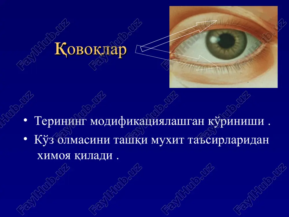 otorinolaringologiya va oftalmologiya kafedrasi - Page 4