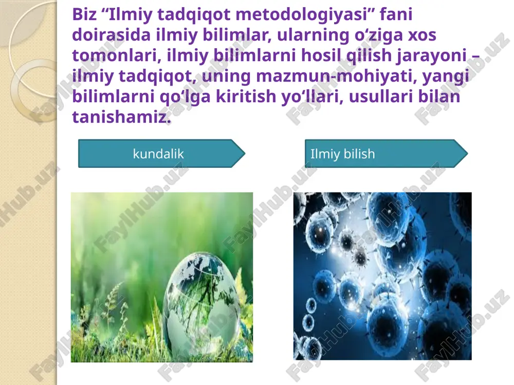 fan ijtimoiy madaniy hodisa - Page 4