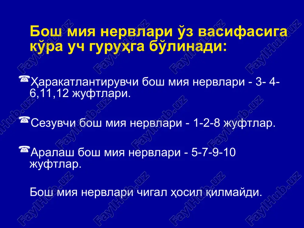 1. travmatik 2. kompension-ishemik (mononevropatiya) 3. yalliglanadigan. v. bosh suyak nervlarini zararlanishi 1. uchlik va boshka bosh suyak nervlarini nevralgiyasi 2. nevritlar, yuz nervining nevropatiyasi 3. boshka bosh suyak nevritlari shuningdek kursatiladi: 1) okim xarakteri (utkir, utkir osti yoki surunkali), surunkali kechishida: progredientlik, stabil (chuzilgan), retsidivlanadigan kup, kam, regredient; 2) stadiya (kuprok retsidiv kechishida); utkirlanish, regres, remissiya (tula, notula); 3) buzilish funktsiyasining xarakteri va darajasi: ogrik sindromining namoyon bulishi (bexollik, xolsizlanish kasallikning sekin namoyon bulishi, urtacha namoyon bulishi, kuchli namoyon bulishi), lokalizatsiyu va xarakatlanish darajasini buzilishi, sezgirlikning buzilishini namoyon bulishi, vegetativ-tomirlar yoki trofik buzilishi, paroksizmlarning chuzilishi va ogirlanishi, vertebrogen radikulopatiyasi osteoxondroz grija diskining rivojlanishi neck pain slayd 16 human back slayd 17 neck pain slayd 16 human back slayd 17