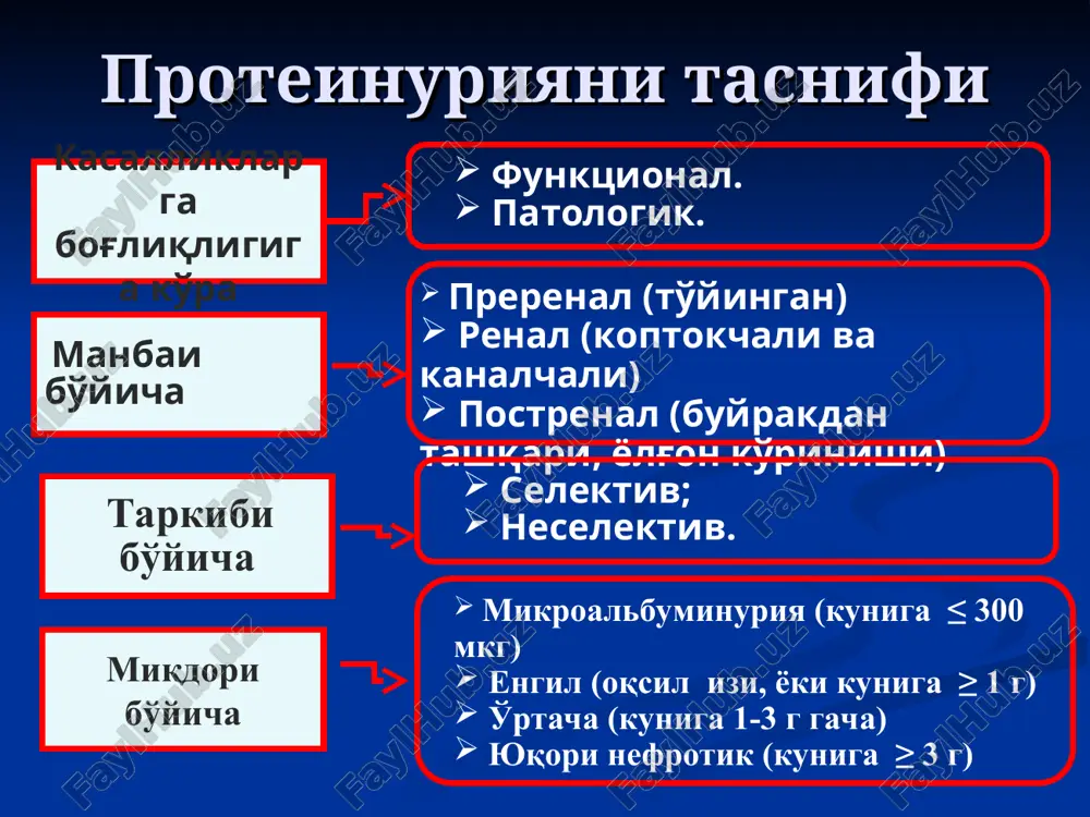 shqa kasalliklar. qonda: anemiya, echt ≥50 mm/s, qon zardobida α2, gamma- globulinlar va fibrinogen oshadi siydikda: nisbiy zichlik pasayadi, pu, tsu ayrim xollarda lu va gu qandli diabet kasallikning 10-12 yillarida glomeruloskleroz rivojlanadi. uning ilk davrlarida koptokchalar pu si kuzatiladi. pu boshlang'ich davrida doimiy bo'lmaydi, keyinchalik selektivlik darajasi susayib boradi kf 45 ml/min gacha kamayganda koptokchali va kanalchali pu va 60-90% bemorlarda ag kuzatiladi ns paydo bo'lishi, ateroskleroz rivojlanishi, ikkilamchi infektsiya qo'shilishi diabetik nefropatiyalarda sbe rivojlanishiga olib keladi doimiy proteinuriya yuzaga kelishi bilan koptokchalar filtratsiyasi xar oyda bir daqiqada 1 ml.ga pasayib boradi. proksimal qismida oqsilni etarlicha so'rilmasligi tug'ma va orttirilgan ferment etishmovchiligi natijasida kanalchalarni oqsil bilan to'yinishi kanalchali proteinuriya genetik tubulopatiya, o'tkir kanalchalar nekrozi, interstitsial nefrit, pielonefrit, transplantatni surunkali kuchishi, metall (qo'rg'oshin, kadmiy, vismut, rtut) tuzlari bilan zaharlanish, ayrim dorilarning toksik ta'siri. kuniga 2 g gacha, tarkibi: albumin, 2 -mikroglobulin, lizotsim, immunoglobulinlarni engil zanjirlari fankoni sindromi – proksimal turdagi …