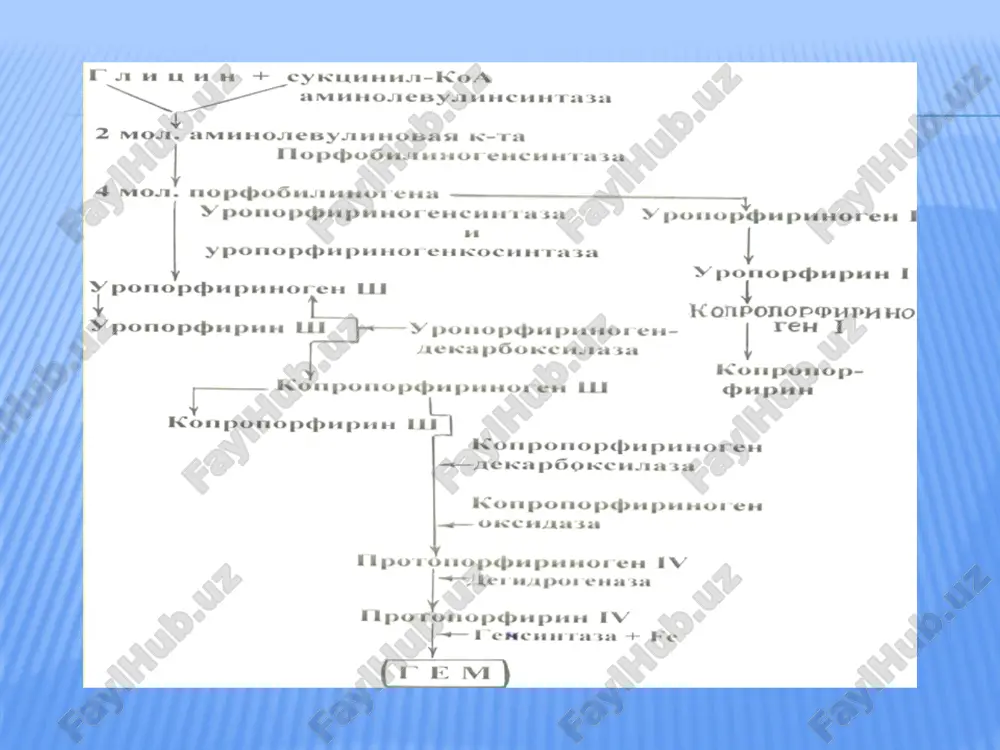 soderjitsya bilirubin, svyazanniy s glyukuronovoy kislotoy ( pryamoy ) i bilirubin, ne svyazanniy s glyukuronovoy kislotoy ( nepryamoy). norma: obshiy bilirubin novorojdennie 1 sut 6,8-68,0mkmol/l novorojdennie 3 sut 17,7-171 mkmol/l novorojdennie 1 mes 5,2-17,1mkmol/l deti i vzroslie 3,4-17,0mkmol/l bilirubin kon'yugirovanniy (pryamoy) vzroslie < 5 mkmol/l bilirubin obnarujivaetsya v kale pri disbakterioze v svyazi s tem, chto vosstanovlenie bilirubina proisxodit s uchastiem degidrogenazi mikroflori kishechnika gemoliticheskie anemii ostrie i xronicheskie v12- defitsitnaya anemiya talassemiya obshirnie gematomi bilirubinemiya pri mexanicheskoy jeltuxe yavlenie postoyannoe. snijenie soderjaniya bilirubina v moche ili ego polnoe ischeznovenie ukazivaet na chastichnoe ili polnoe vosstanovlenie proxodimosti jelchnix putey. istinnaya (pechenochnaya ) jeltuxa voznikaet pri razlichnix porajeniyax pecheni. nablyudaetsya pri: ostriy virusniy gepatit tsitomegalovirusnaya infektsiya, infektsionniy mononukleoz amebniy abstsess pecheni, opistorxoz, aktinomikoz sifilis vtorichniy tsirroz pecheni,xolangit, pervichniy rak pecheni, metastaticheskie porajeniya pecheni pervichniy biliarniy tsirroz pecheni toksicheskoe povrejdenie pecheni: chetirexxloristiy uglerod, xloroform, trixloretilen, alkogol lekarstvennie otravleniya: paratsetamol, izoniazid,rifampitsin, xlorpromazin vsledstvie …