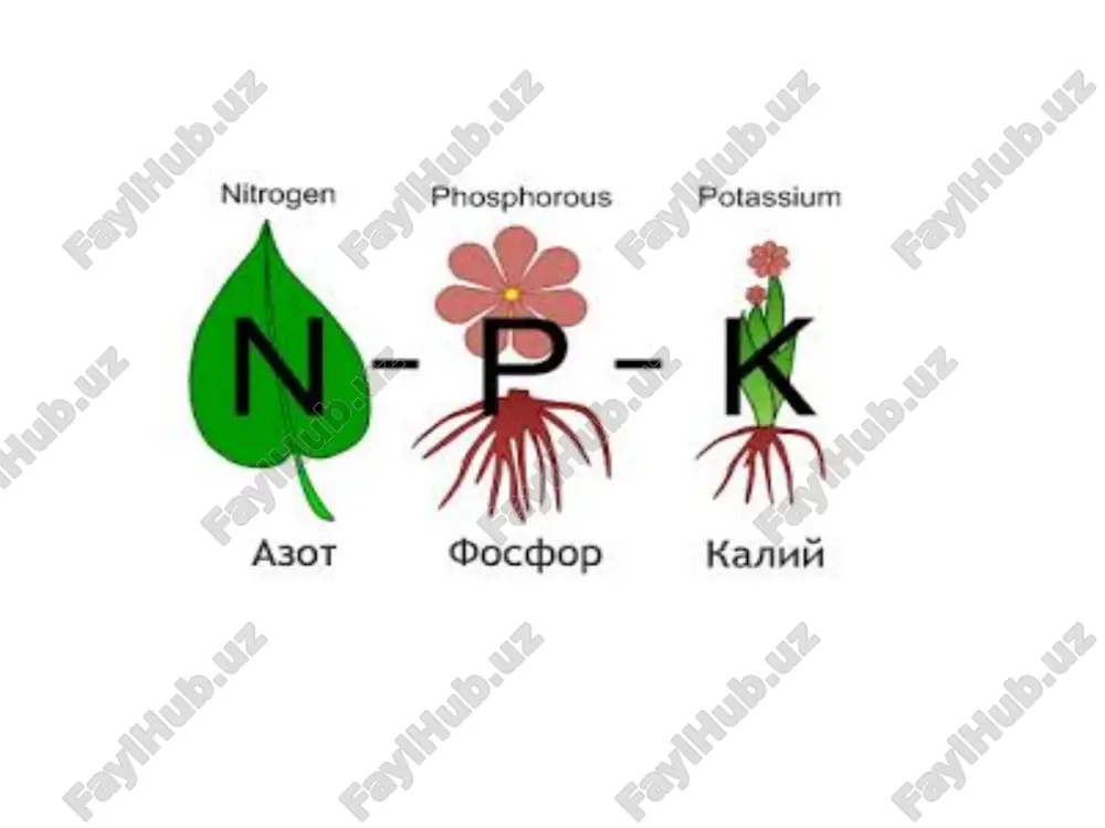 lar kiradi. sobiq sssrning yirik apatit konlariga kola yarim orolida xibin tog'laridagi apatit –nefelinli rudalar kiradi. kondagi apatit rudasi qavatining qalinligi 200m gacha boradi. apatitli rudalar esa dune zapasining kariyib 6 % ini tashkil etadi. fosforitlar tarkibida ftorapatit minerallaridan (ca5(po4)3f) tashkari qo'shimchalar kvarts minerallari - sio2, kaltsit- saso3, dolomit – saso3, mgco3 hamda temir va alyuminiy oksidlari va boshkalarni saklaydi. fosforitlar tarkibida 18-36% gacha p2o5 bo'ladi. sobiq sssrda fosforitlarning 200 dan ortiqroq koni topilgan. eng yirik fosforit koni 1941 yilda topilgan janubiy qozog'istondagi qoratog' konidir (uning tarkibida 21-23% gacha p2o5 bo'ladi). ikkinchi yirik koni aktyubinskiy (shimoliy qozog'iston ). vyatsko –kamskiy. kingiseppskiy (leningrad viloyati). maardu (estoniya ssr) konlaridir. kimyoviy ishlov berish yo'li sanoatda, asosan oddiy superfosfat, qo'sh superfosfat va kompleks o'g'itlar ishlab chiqariladi. oddiy superfosfat eng keng tarqalgan fosforli o'g'itdir.uning himiyaviy formulasi sa(n2po4)2.n2o+saso4.0,5n2o hamda qo'shimchalar temir fosfat, alyuminiy fosfat – kremnazyom va fosfor kislotasidan iboratdir. oddiy superfosfat kulrang donador kristallar bo'lib, …