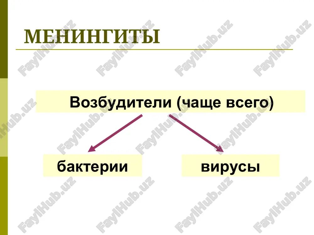 kt - mrt - rentgenografiya legkix - osmotr vracha lor - osmotr kardiologa - osmotr terapevta meningokokkoviy meningit vozbuditel - gramotritsatelniy diplokokk (palochka veykselbauma) mazok spinnomozgovoy jidkosti (okraska po gramu) obnarujivaetsya v leykotsitax ili vnekletochno meningokokkoviy meningit peredaetsya kapelnim putem istochnik bolnoy chelovek zdoroviy nositel vo vneshney srede neustoychiv (t˚↑↓ , nedostatochnaya vlajnost, vliyanie solnechnogo sveta), otsyuda – nizkaya kontagioznost zabolevaemost sporadicheskie sluchai nebolshie epidemii (chashe zimoy, vesnoy) boleyut lyudi vsex vozrastov, no chashe - deti meningokokkoviy meningit patogenez verxnie dixatelnie puti (vegetiruet), mojet bit nazofaringit krov (pri nizkoy rezistentnosti) (mojet bit meningokokkemiya s gemorragicheskoy sipyu) endotoksin zapuskaet dvs-sindrom i endotoksicheskiy shok meningokokkoviy meningit patomorfologiya podpautinnoe prostranstvo gnoyniy eksudat (konveksitalnaya poverxnost kori, osnovanie, spinnoy mozg) po perivaskulyarnim prostranstvam gnoy mojet perexodit na veshestvo mozga veni rasshireni, otek, nebolshie gnoynie ochagi, melkie krovoizliyaniya, trombi v obolochkax mozga –vospalitelnaya infiltratsiya jidkost – mutnaya, snachala – neytrofilnaya, zatem + limfotsiti + plazmaticheskie kletki …