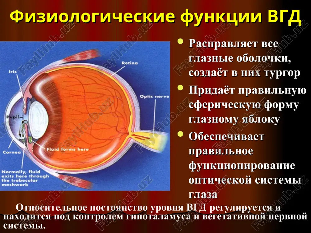 eto davlenie protalkivaet jidkost cherez drenajnuyu sistemu glaza. minutniy ob'em vv (f) , virajaemiy v kubicheskix millimetrax, xarakterizuet ob'emnuyu skorost produktsii i ottoka vv pri stabilnom vgd – koeffitsent legkosti ottoka (s) - velichina, pokazivayushaya, kakoy ob'em jidkosti (v kubicheskix millimetrax) ottekaet iz glaza za 1 min na 1 mm rt. st. davleniya ottoka. vnutriglaznoe davlenie davlenie ottoka minutniy ob'em vgj skorost ee obrazovaniya legkost ottoka iz glaza. gidrodinamicheskie pokazateli gidrodinamicheskie pokazateli svyazani mejdu soboy sleduyushim uravneniem: ro = f/ c + pv v klinicheskoy praktike znachenie ro – opredelyayut pri tonometrii, s – tonografii, rv – prinimayut ravnim 10 mm rt. st. f – rasschitivayut s pomoshyu privedennogo vishe uravneniya f= (po - pv) x c v norme s – v predelax ot 0,18 – 0,45 mm z/ min/ mm rt.st. f – ot 1,5 do 4 mm z / min chtobi dannie tonografii sdelat bolee chuvstvitelnim kriteriem «normi …
