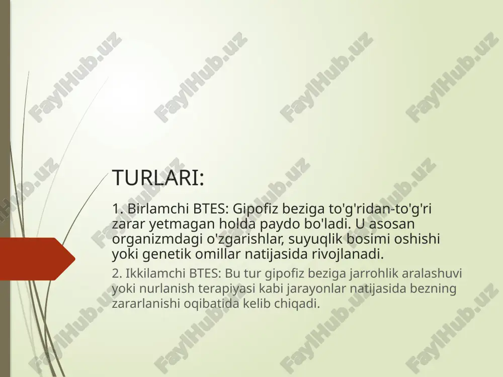bo‘sh turk egari sindromi - Page 4