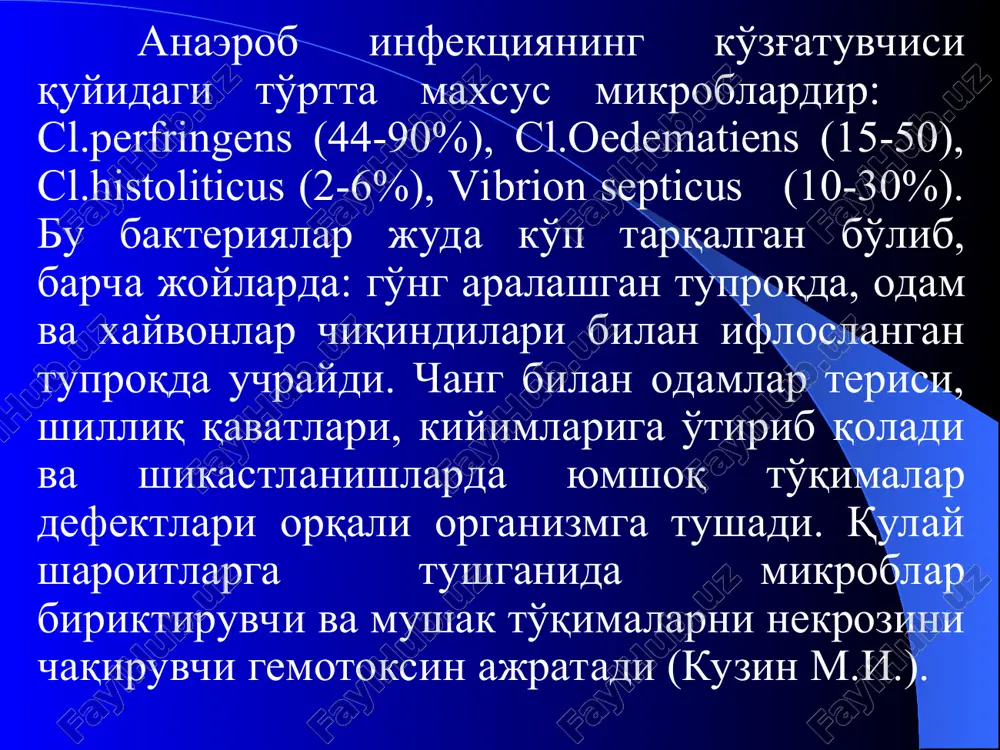 tlarning joylashgan joyiga, yo'qotilgan qonning miqdoriga, o'tkazilgan birlamchi jarroxlik ishlovining sifatiga bog'liq bo'ladi. oyoqlar shikastlanganida, ayniqsa shikastlanish suyaklar sinishi va ko'p miqdorda qon yuqotish bilan kechadigan bo'lsa inkubatsion davri qisqa bo'ladi. inkubatsion davrdan keyin klinik manzarasi shakllanadi, bunda patologik jarayonning kechishiga qarab to'rtta bosqich farqlanadi: 1. gazli flegmona bilan chegaralanadigan erta bosqich; 2. jarayonning avj olish yoki tarqalgan gazli flegmona bosqichi; 3. gazli gangrena bosqichi; 4. sepsis bosqichi. erta bosqichlarida bemorlar oyoqlaridagi og'riqqa va bog'lamning torligiga shikoyat qiladi. bunday xolatlarda tezlik bilan bog'lamni echib tashlash zarur. bunda quruq, xayot belgilarini yo'qotgan, usti kulrang, iflos karash bilan qoplangan jaroxat ko'zga tashlanadi. bemorlarda engilgina toksemiya begilari paydo bo'ladi: biroz qo'zg'alish, tana xaroratining puls bilan to'g'ri kelmaydigan 37,5-38o gacha oshishi kuzatiladi. anaerob infektsiyaning erta bosqichida oyoqning ko'rinishi ikkinchi bosqichda anaerob flegmona jarayoni tarqalishga intiladi. bunda og'riqlar jaroxat soxasidan oyoqning yuqori segmentlariga tarqaladi. agar jarayon boldir soxasida bo'lsa jaroxatdagi og'riqlar kamayadi, lekin nevrotoksinlarning nerv …