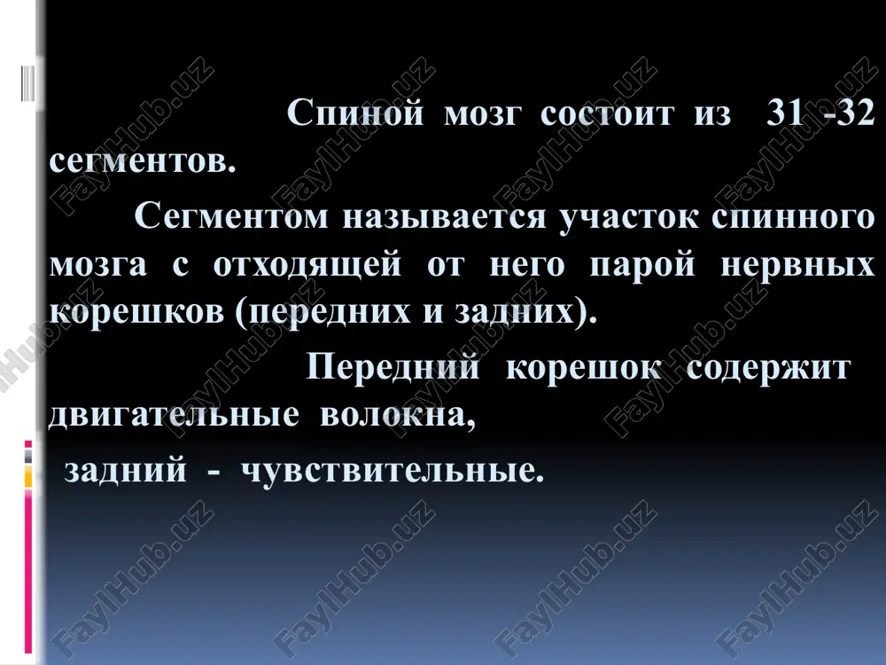 xovie stimuli, koordiniruyut sodrujestvennie dvijeniya glaznix yablok po vertikali, opredelyayut bistrie orientirovochnie i zashitnie reaktsii, «start-refleksi» retikulyarnaya formatsiya apparatom, koordiniruyushim deyatelnost raznix sistem, yavlyaetsya retikulyarnaya formatsiya. v ney videleno do 100 gruppovix skopleniy neyronov i ustanovleni mnogochislennie efferentnie proektsii, interretikulyarnie svyazi. s retikulyarnoy formatsiey svyazivayut vipolnenie takix obshix funktsiy, kak rasshifrovka signalov vneshney sredi, ix otbor, regulyatsiya potokov vosxodyashey aktivnosti; regulyatsiya sna i bodrstvovaniya; regulyatsiya i koordinatsiya mnogix vegetativnix funktsiy. image2.jpeg image3.jpeg image4.jpeg image5.png image6.png image7.png image8.jpeg image9.png image10.jpeg image11.jpeg image12.jpeg image13.jpeg image14.png image15.jpeg image16.jpeg image17.jpeg image18.png image19.png /docprops/thumbnail.jpeg