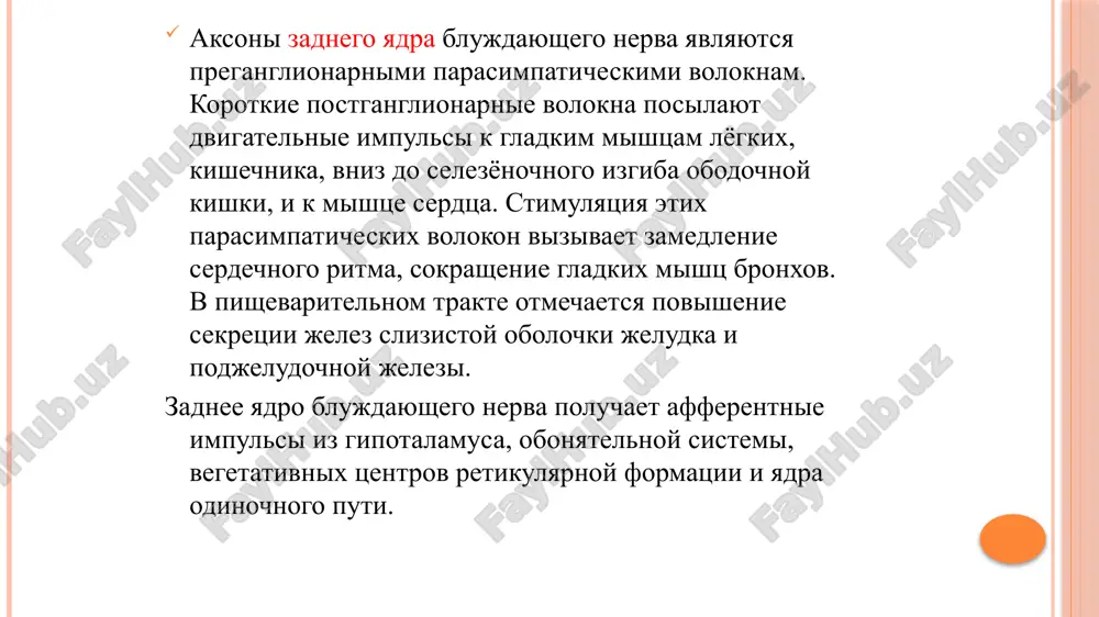 odyat sleduyushie vetvi: meningealnaya vetv (ramus meningeus) otxodit neposredstvenno ot verxnego uzla, napravlyaetsya v polost cherepa i innerviruet tvyorduyu mozgovuyu obolochku golovnogo mozga (poperechniy i zatilochniy venozniy sinusi). ushnaya vetv (ramus auricularis) kak pravilo, nachinaetsya ot verxnego uzla ili nije — ot stvola nerva, napravlyaetsya kzadi, sleduet po narujnoy poverxnosti lukovitsi vnutrenney yaremnoy veni, podxodit k yaremnoy yamke i vstupaet v sostsevidniy kanalets . v tolshe piramidi visochnoy kosti ushnaya vetv obmenivaetsya voloknami s litsevim nervom i pokidaet piramidu visochnoy kosti cherez barabanno-sostsevidnuyu shel. zatem ushnaya vetv delitsya na dve vetvi, kotorie poyavlyayutsya pozadi narujnogo uxa, vblizi narujnogo kontsa kostnoy chasti narujnogo sluxovogo proxoda. odna iz vetvey soedinyaetsya s zadnim ushnim nervom ot litsevogo nerva, drugaya innerviruet koju zadney stenki narujnogo sluxovogo proxoda. soedinitelnaya vetv s yazikoglotochnim nervom (ramus communicans cum nervo glossopharyngeus), soedinyaet verxniy uzel blujdayushego nerva s nijnim uzlom yazikoglotochnogo nerva. soedinitelnaya vetv s dobavochnim nervom (ramus communicans …
