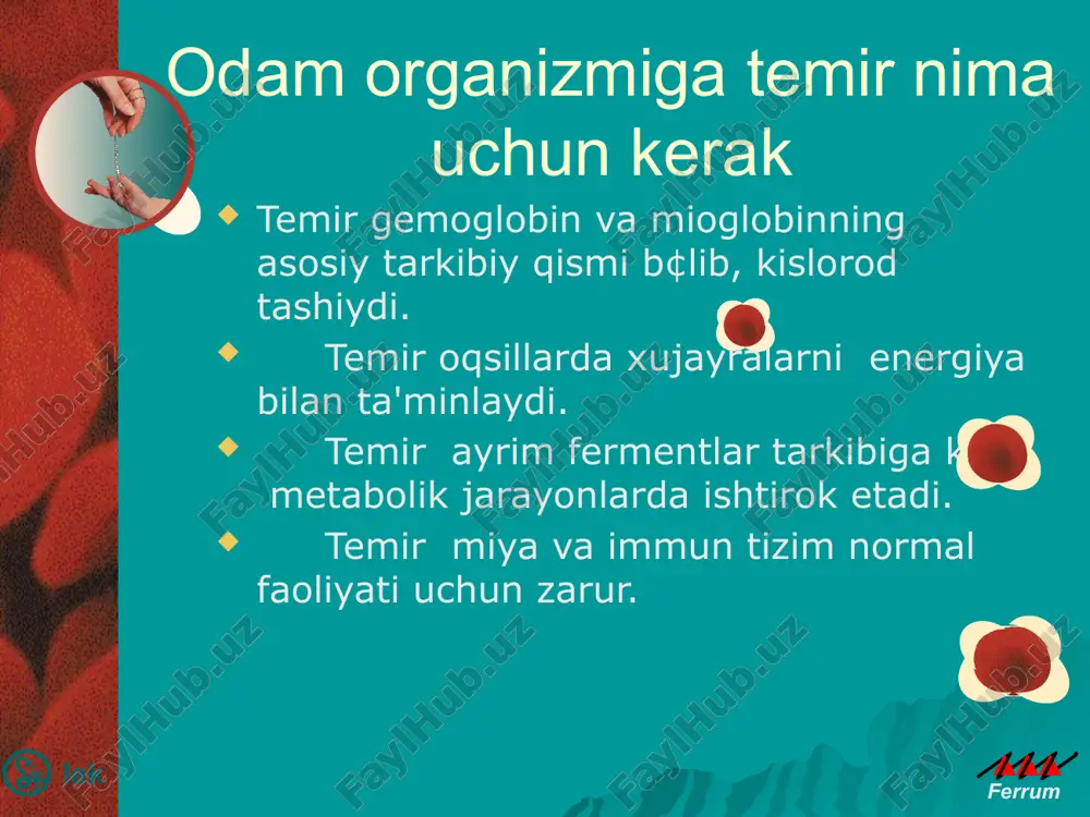 sligi (hb<90 g/l, ttk oqir shakli ~3% bemorlarda) bemorlarda regulyar temir preparatlarni qabul qilish ishonchliligni y¢qligi lek ferrum 4.6.2023 akusherlikda siydik chikarish yullari infeksiyalari lek ferrum lek ferrum 4.6.2023 siydik chiqarish y¢llari infeksiyasi ekstragenital kasalliklar kelib chiqishining asosiy sabablardan biri qisoblanib, qomiladorlikni kechishida k¢p asoratlarga olib keladi. uchrashi 6-12%gacha lek ferrum lek ferrum 4.6.2023 xomiladorlik vaqtidagi fiziologik ¢zgarishlar 6 xaftalikdan boshlab deyarli 90% ayollarda siydik y¢llarining kengayishi rivojlanadi, bu qolat tuqruqgacha saqlanishi mumkin (xomiladorlar gidronefrozi). siydik pufagi tonusining pasayishi siydikni qovuqda ushlanib qolishiga va uretero-vezikal reflyuksga olib keladi. 70% xomilador ayollarda glyukozuriya kuzatilib, siydikda bakteriyalar ¢sishiga sharoit yaratiladi. 2 lek ferrum 4.6.2023 xomiladorlik vaqtidagi fiziologik o’zgarishlar siydikda progesteron va estrogenlar miqdorining oshishi, uroepiteliyning bakteriyalar invaziyasiga qarshiligininig pasayishiga olib keladi. bachadon kattalashuvi natijasida topografo-anatomik ¢zgarishlar b¢lishi buyrak boylamlarining tonusi sustligi natijasida buyrakning patologik siljishi 3 lek ferrum 4.6.2023 etiologiya esherichia coli (80%) proteus mirabilis, klebsiella pneumonia, enterobacter (5-10%) s.epidermidis, s.saprophiticus, strept.gr.b …