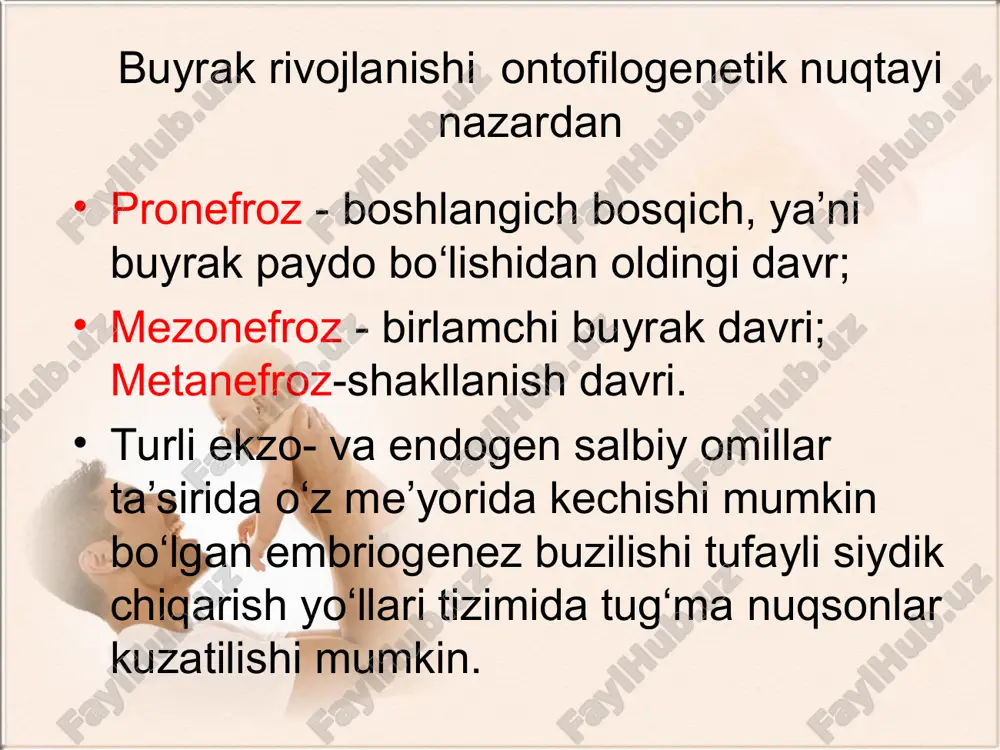 ziga tegishli siydik nayi ham bor. u buyrakning pastida joylashgan bo‘lib, gohida chanoq sohasiga ham tushishi mumkin. uning o‘lchamlari har xil, ko‘pincha kichik bo‘ladi. ba’zan uning siydik nayi qovuqda emas, balki a’zolarga ham ochiladi. qo‘shimcha buyrak ekskretor urografiya va buyrak angiografiyasi yordamida diagnostika qilinadi. davosi. kasallikning bu turini asoratlangan turida va konservativ davolash foyda bermaganida operativ davolashga ko‘rsatma hisoblanadi. operatsiya usulini tanlash asosiy yoki qo‘shimcha buyrakdagi patologik o‘zgarishlar bilan bog‘liq masalan, qo‘shimcha buyrak o‘z funksiyasini butunlay yo‘qotgan bo‘lsa a’zoni yo‘qotuvchi operatsiya – geminefrureterektomiya operatsiyasi amalga oshiriladi; a’zoni saqlovchi operatsiyalar – antireflyuks operatsiyalar, jom-siydik nayi yoki siydik naylari aro anastamoz operatsiyalari amalga oshiriladi. bundan tashqari ko‘rsatma bo‘yicha endoskopik operatsiya, ya’ni qovuq siydik nayi reflyuksi kuzatilganda siydik nayi shilliq ostiga teflon implantatsiyasi amalga oshiriladi. buyrak o‘lchami patologiyasi. buyrak gipoplaziyasi. bu buyrak o‘lchamining kichikligidir. u me’yoriy gistologik tuzilishga ega, funksiyasining buzilish belgilari ham yo‘q. ko‘pincha bir tomonlama bo‘ladi . tashxis asosan ekskretor urografiyada …