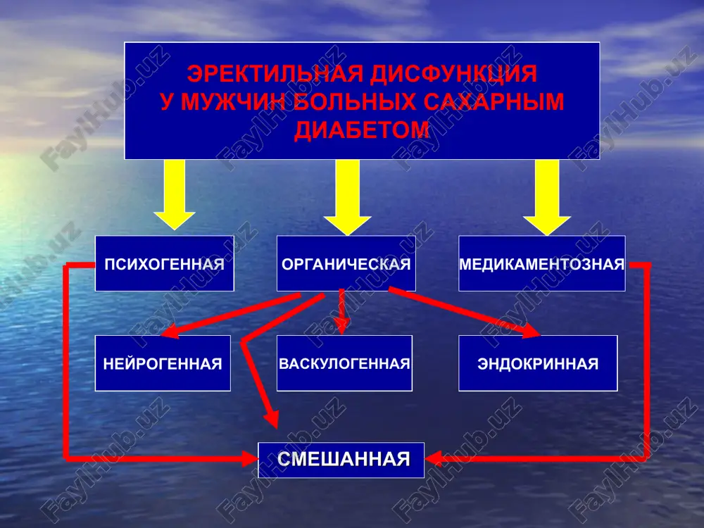 ektilnoy disfunktsii v zavisimosti ot vozrasta 67,8% 75,9% 80,7% 81,2% 29-35 let 36-50 let 51-65 let sv. 65 let chastota erektilnoy disfunktsii v zavisimosti ot nalichiya diabeticheskoy neyropatii 80,6% 50% 75,5% 42,9% chastota erektilnoy disfunktsii v zavisimosti ot nalichiya diabeticheskoy nefropatii bez nefropatii s nefropatiey 64,9% 82,6% 66% 94,3% chastota erektilnoy disfunktsii v zavisimosti ot nalichiya diabeticheskoy retinopatii 62,5% 66,7% 85% 60,6% 76,1% 91,3% chastota erektilnoy disfunktsii v zavisimosti ot nalichiya arterialnoy gipertenzii 68,8% 79% 75% 78% pokazateli erektilnoy funktsii v zavisimosti ot prodoljitelnosti saxarnogo diabeta 21,9 18,1 13,7 12,3 13,6 11,5 balli dinamika simptomov erektilnoy disfunktsii na fone priema berlitiona 12,25 17,83 4,91 6,4 4,75 7,25 4,8 5,8 erektilnaya funktsiya orgazm udovletvorenie ot polovogo akta obshee seksualnoe udovletvorenie predvaritelnie vivodi 1. opredeleni normativnie pokazateli erektilnoy funktsii(ef) dlya razlichnix vozrastnix grupp po oprosniku mief u zdorovix lits. 2. u bolnix saxarnim diabetom projivayushix v g. tashkente chastota ed nablyudaetsya v …