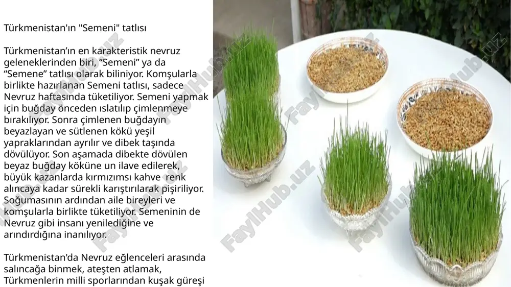 nevruz bayramı - Page 4