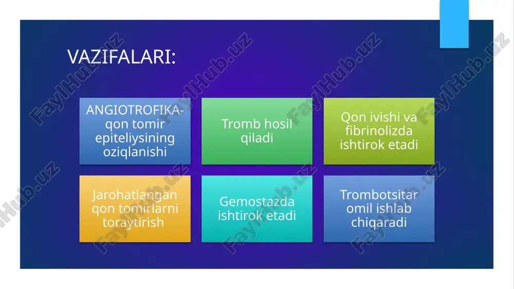 kamqonlik.gemostaz. qon guruhlari.rezus faktor. qon quyish asoslari - Page 4