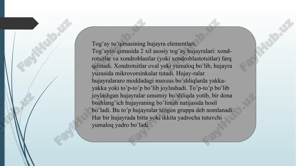 tog’ay to’qimasini hujayra elementi va hujayralararo moddasi - Page 4
