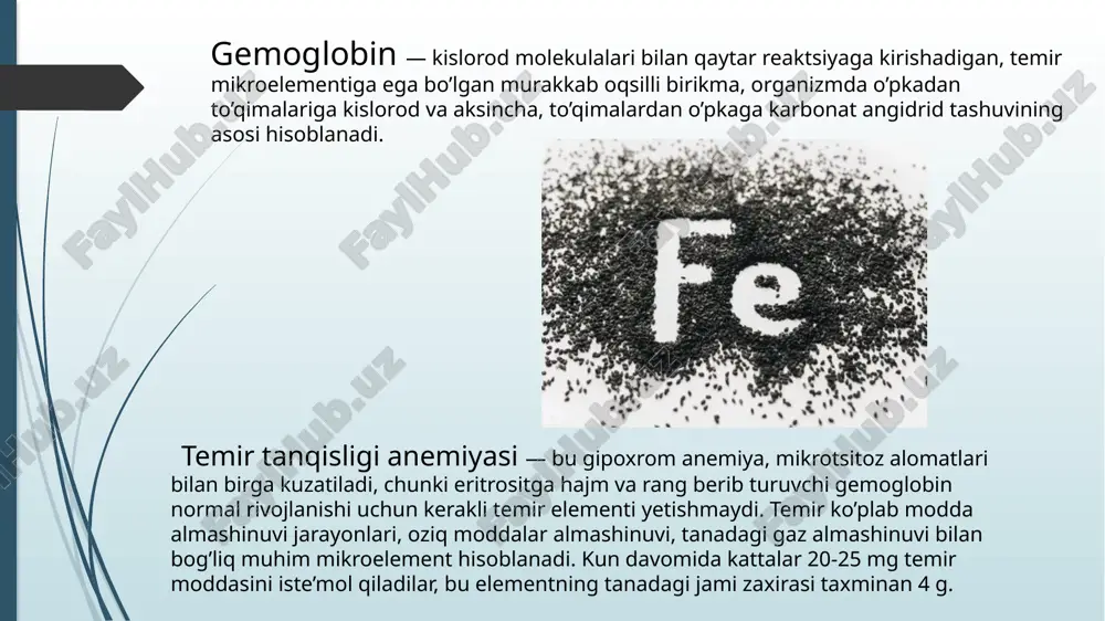 organizmda temir almashinishi - Page 4
