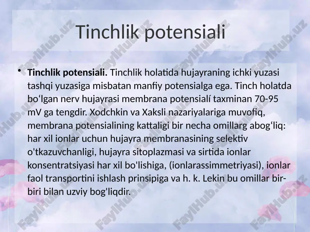 funksional tinch holat - Page 4