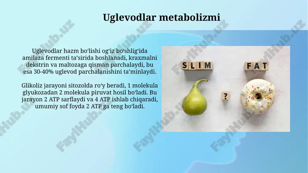 moddalar almashinuvi metabolizm - Page 4
