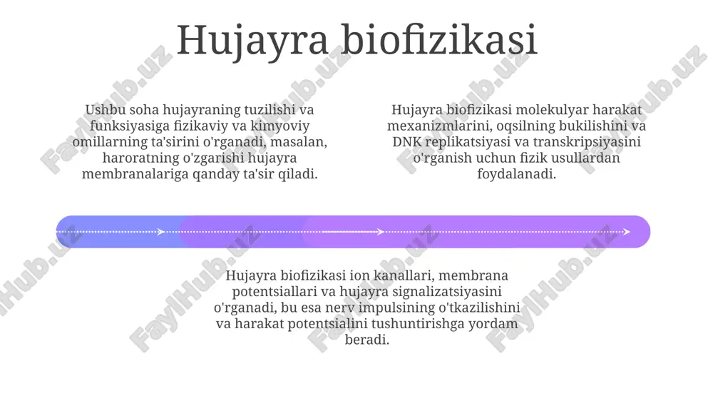biofizika boʻlimlari - Page 4