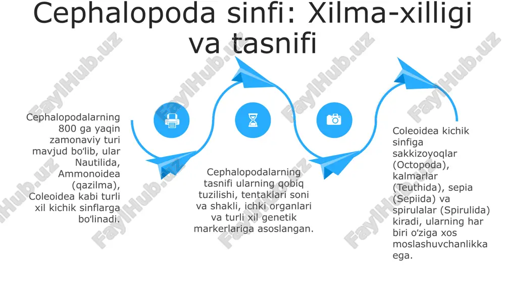 boshoyoqli mollyuskalar (cephalopoda) asosan dengizda yashaydi, ammo ularning hayot tarzi juda xilma-xil, masalan, 8 oyoqli ahtapotlar taglikda ov qiladi. ular rangini o'zgartirish orqali kamuflyajdan ustalik bilan foydalanadi, bu ularga atrof-muhitga moslashishga va ovchilikda yoki yirtqichlardan qochishda yordam beradi. 03 ko'pgina boshoyoqlilar, xususan kalmarlar va karakatitsalar, tez suzishga imkon beradigan reaktiv harakatdan foydalanadi, bu ularga soatiga 40 km tezlikka erishishga yordam beradi. e'tiboringiz uchun rahmat @taqdimot_robot image1.jpeg image2.jpeg image3.jpeg image4.jpeg