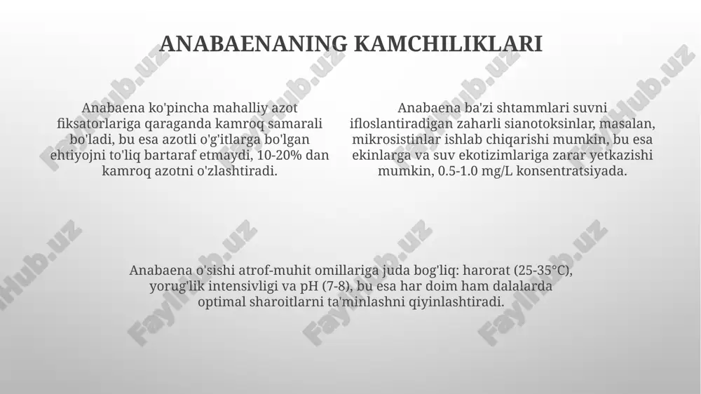 qiluvchi, iplar hosil qiluvchi sianobakteriyalar turkumi bo'lib, ular azot fiksatsiyasi xususiyatiga ega va suv ekotizimlarida keng tarqalgan. anabaenaning qishloq xo'jaligidagi ahamiyati anabaena sholichilikda keng qo'llaniladi, chunki u suvda o'sadigan o'simliklar uchun muhim bo'lgan kislorodni ishlab chiqaradi va tuproqning unumdorligini oshiradi (hosildorlik 10-15% gacha ortishi mumkin). anabaena azotni biologik fiksatsiya qilish qobiliyatiga ega, bu esa tuproqdagi azot miqdorini oshirib, azotli o'g'itlarga bo'lgan ehtiyojni kamaytiradi (30-40% gacha kamayishi mumkin). anabaena tarkibida o'simliklar o'sishini rag'batlantiruvchi moddalar (fitogormonlar) mavjud bo'lib, bu o'simliklarning ildiz otishini yaxshilaydi va ularning kasalliklarga chidamliligini oshiradi (kasallanish 20% gacha kamayishi mumkin). tuproq unumdorligini oshirish anabaena azoti fiksatsiya qobiliyati tuproqdagi azot miqdorini 20-30% ga oshirib, mineral o'g'itlardan foydalanishni kamaytiradi va unumdorlikni yaxshilaydi. anabaena tuproq strukturasini yaxshilashga yordam beradi, suv o'tkazuvchanligini 10-15% ga oshiradi, eroziyani kamaytiradi va organik moddalar bilan ta'minlaydi. anabaena o'simliklar uchun foydali bo'lgan vitaminlar, aminokislotalar va o'sish gormonlarini sintez qilib, tuproq unumdorligini 15-25% ga oshirishi mumkin. e'tiboringiz uchun rahmat …