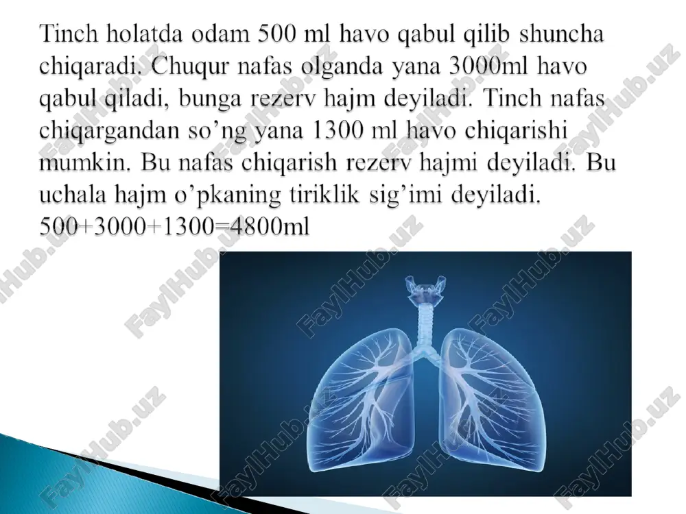 nafas parametrlari - Page 4