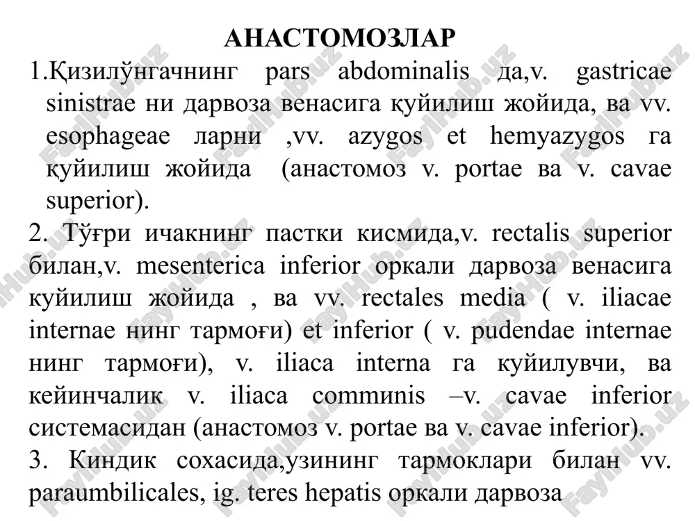 venasistemasining funksional anatomiyasi - Page 4