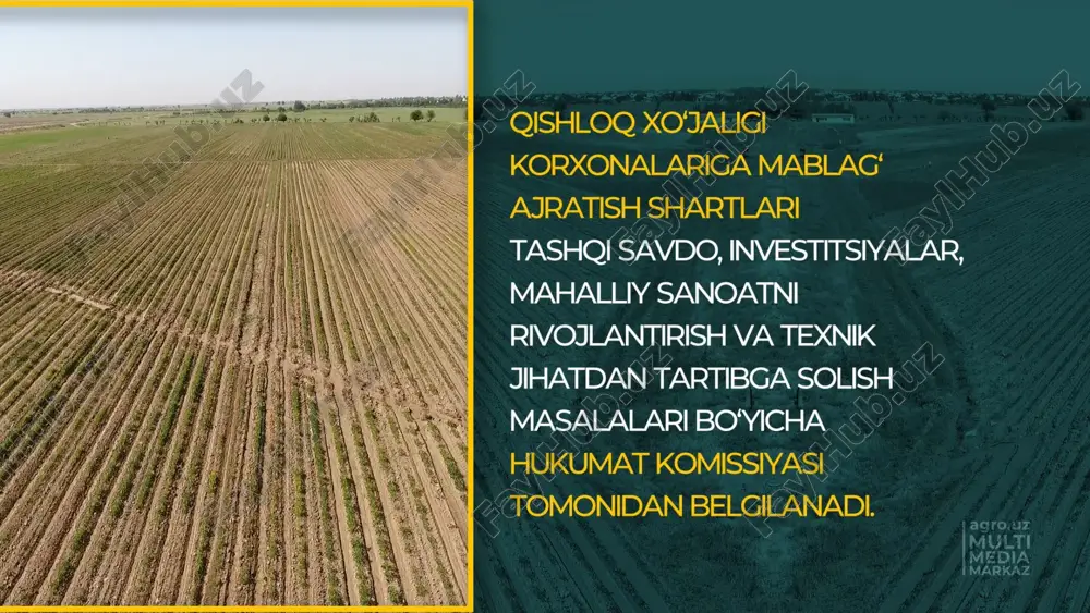 ydalanish geotekstillar va geomatlar – tuproqning zichligini oshirish va yo‘lning o‘tirib ketishining oldini olish uchun ishlatiladi. polimer-qo‘shimchali asfalt – oddiy asfaltdan ko‘ra mustahkamroq bo‘lib, harorat farqlariga chidamli. beton qoplamalar – og‘ir yuklarga chidamliligi yuqori, uzoq xizmat qiladi, lekin qurilishi nisbatan qimmat. shag‘al-bitum aralashmalari – iqtisodiy jihatdan maqbul bo‘lib, uzoq xizmat qilish muddatiga ega. ekologik materiallar – tabiiy va qayta ishlangan materiallardan tayyorlangan maxsus qoplamalar atrof-muhitga zarar yetkazmaydi. texnologiyalarni joriy etish sovuq regeneratsiya usuli – eski asfalt yoki shag‘al qoplamani qayta ishlash orqali yangi qatlam yaratish. 3d yo‘l loyihalash texnologiyalari – yo‘l profilini aniq rejalashtirish va qurilish samaradorligini oshirish. avtomatlashtirilgan yo‘l qurish texnikasi – yo‘l yuzasining tekisligi va sifatini nazorat qilishga yordam beradi. intellektual yo‘l monitoring tizimlari – yo‘lning ahvoli haqida real vaqtda ma’lumot to‘plash va ta’mirlash ishlarini rejalashtirish imkonini beradi. yo'l qoplamalari turlari va ularning xususiyatlari tuproqli yo'llar arzon, ammo yomon ob-havoda yaroqsiz. toshli yo'llar tuproqli yo'llarga nisbatan mustahkamroq. shag'alli …