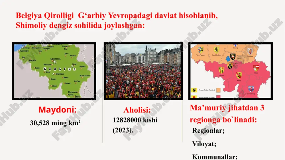 belgiya qirolligi - Page 4