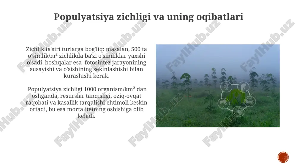 irg'oq ekosistemalarini, shu jumladan mangrov o'rmonlari va marjon riflari kabi muhim yashash joylarini yo'q qilib, bioxilma-xillikni pasaytiradi. raqobat va uning ekologik ahamiyati intraspesifik raqobat, bir tur ichidagi shaxslar o'rtasidagi raqobat, populyatsiya zichligiga bog'liq bo'lib, o'rtacha 30% ga yaqin individual rivojlanishning sekinlashuviga olib kelishi mumkin. interspesifik raqobat, 2 dan ortiq tur o'rtasidagi resurslar uchun kurash, turlararo munosabatlarning murakkab to'rini va ekotizimning bioxilma-xilligini belgilaydi. biotik omillar oʻzaro taʼsiri muammolari raqobat, parazitizm va simbioz kabi oʻzaro taʼsirlarning intensivligi oziq-ovqat zanjiri boʻyicha 3-5 darajali taʼsir koʻrsatishi mumkin, bu esa butun ekosistemaning barqarorligiga tahdid soladi. taxminan 70% hashoratlarning parazitlar yoki kasalliklarga chalinishi biotik omillar oʻrtasidagi noqulay muvozanatning natijasi hisoblanadi va bu yirtqich hayvonlar populyatsiyasiga ham salbiy taʼsir koʻrsatadi. ifloslanish va uning ekologik oqibatlari ifloslanishning 70% dan ortig'i antropogen manbalarga, ya'ni inson faoliyatiga bog'liq bo'lib, bu biosferaning ekologik muvozanatini sezilarli darajada buzadi va 1000 dan ortiq turdagi o'simlik va hayvonlarning yo'q bo'lib ketishiga olib keladi. radiatsion …