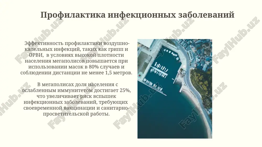 gigienicheskie problemy sovremennykh krupnykh gorodov - Page 4