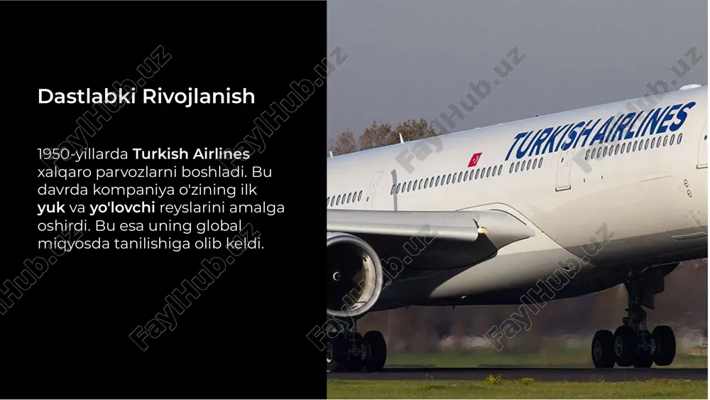 turkish airlines - Page 4
