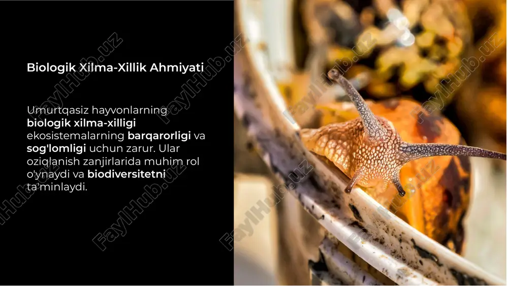 oʻzbekiston umurtqasiz hayvonlar faunasining biologik xilma-xilligi - Page 4