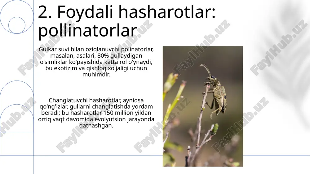 foydali va zararli hasharotlar - Page 4