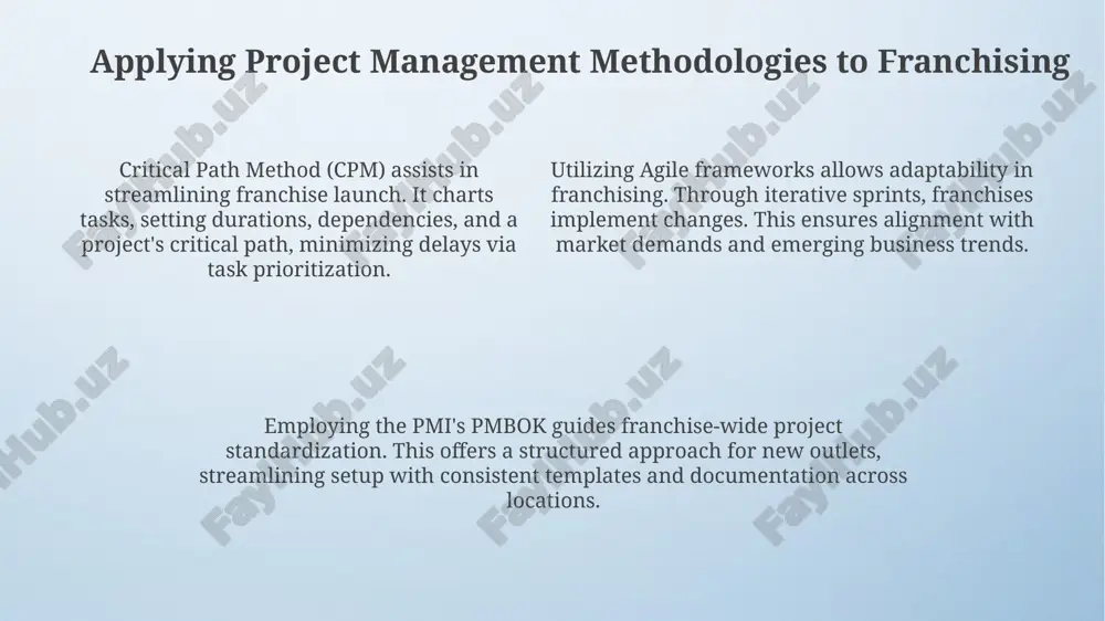 franchizing and project management presentation - Page 4