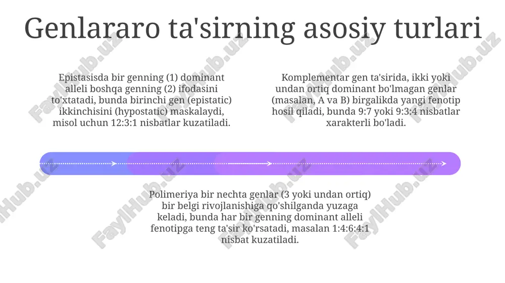 mendelning uchinchi qonuni: allel bo'lmagan genlarning o'zaro ta'siri haqida - Page 4