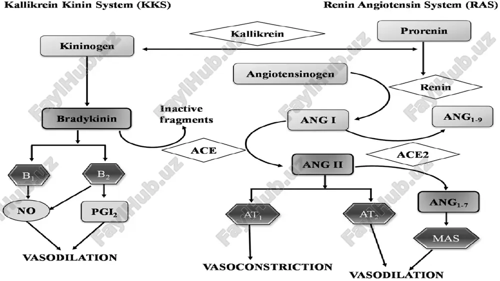 kallikrein-kinin tizimi, klinik ahmiyati - Page 4