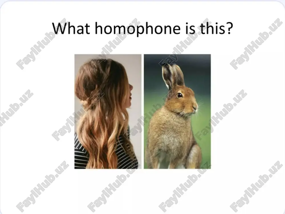 homophones - Page 4