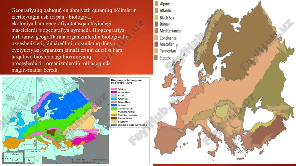 naları arasındaǵı kommunalardıń geografiyalıq ayırmashılıq ózgesheliklerin anıqlaw múmkin. organizm jámáátleriniń geografiyalıq tarqalıwı haqqındaǵı nızamlılıqlardı anıqlaw múmkin boladı. biogeografiya tábiyiy pán sıpatında tariyxıy geologiya hám paleontologiya pánleri menen baylanısqan. planetamızdıń ótmishinde, hár qıylı geologiyalıq dáwirlerde materik hám okeanlar qatnasınıń ózgeriwi túrli dáwirlerde organizmlerdiń ózgeriwine sebep bolgan, ótken geologiyalıq dáwirlerdiń qazılma halındaǵı ósimlik hám haywan qaldıqları qay jerde olardıń ózgeriwi házirgi dáwirdegi organizmlerdiń geografiyalıq tarqalıwın anıqlawga járdem beredi. sebebi házirgi organizmlerdiń quramı jasaw tárizi ózgeshelikleri geografiyalıq tarqalıwı tek ǵana olardıń emes ekologiyalıq ózgeshelikleri menen baylanıslı, bálkim olar jasaǵan hám rawajlanǵan geologiyalıq dáwirler menen baylanıslı baylanıslı boladı. sonı da aytıw múmkin, organizmler geografiyası tek házirgi olar jasap atırgan turǵan ortalıqtıń ózgesheligi menen emes, al ortalıqqa ekonomikalıq-sociallıq faktorlardıń tásiri menen da baylanıslı ekenligi belgili. sebebi ayırım túrdegi organizmlerdiń azayıwı yamasa joq bolıp ketiw aldında kelgeni birinshi gezekte ekonomikalıq hám sociallıq faktorlar menen de baylanıslılıǵı ayqın. demek, ayırım regionlarda organizmlerdiń azayıwı yamasa kóbeyip barıwı ketiwi …