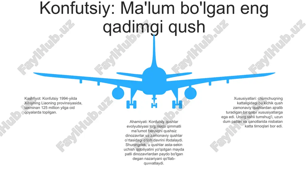 ggi bo'r davrida yashagan yo'q bo'lib ketgan uchib ketmaydigan dengiz qushi edi. parvozsiz moslashish: zamonaviy qushlardan farqli o'laroq, hesperornis suzish va sho'ng'in uchun moslashtirilgan kichik qanotlari va kuchli oyoqlariga ega edi. qadimgi g'avvos: bu qushning kuchli oyoqlari va to'rli oyoqlari bor edi, bu unga dengiz o'ljasini ovlash va oziq-ovqat uchun okeanga chuqur sho'ng'ish imkonini berdi. 06 05 04 03 02 ichthyornis: tishli qush 01 02 tishli qush (ichthyornis): tarixdan oldingi qush, o'tkir, xanjardek tishlari bo'lgan, bu uning baliq yeyayotganidan dalolat beradi. qushlarning kelib chiqishi (ichthyornis): bu qadimiy qushning o'tkir tishlari bo'lib, baliq ovlash bilan shug'ullanganligini ko'rsatadi. 03 ichthyornis: zamonaviy dengiz qushlari va tishli, uchuvchi sudraluvchilar o'rtasidagi o'tish davri, qushlarning dastlabki evolyutsiyasi haqida tushuncha beradi. proavis: munozarali qush sirni ochish: proavis, munozaraga sabab bo'lgan qush proavis: qushlarni dinozavrlar bilan bog'laydigan jumboq proavis merosi: qushlar evolyutsiyasi sohasidagi mayoq s w o t swot o'tish shakllari va evolyutsiya uchun dalillar o'tish shakllari: o'tish …