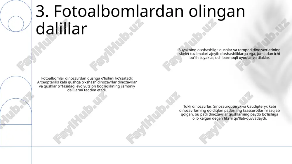 kamayishi kabi uchish uchun maxsus moslashuvlar mavjud. qushlarning nafas olish tizimi:- yuqori samaradorlik, energiyani isrof qilmasdan gazlarni almashish uchun puflanadigan va ochiladigan havo xaltalarining murakkab tarmog'iga ega.- havo kislorodni samarali qabul qilish uchun o'pka ichidagi kichik, ingichka devorli kapillyarlardan o'tadi. qushlarning qon aylanish tizimi: - o'ziga xos to'rt kamerali yurak, bu tana va o'pka uchun alohida aylanishlarni ta'minlaydi. - boshqa umurtqali hayvonlarga nisbatan yuqori qon bosimi va yurak urish tezligi, parvoz paytida kislorod va ozuqa moddalarini samarali etkazib berishni ta'minlaydi. 9. qushlar anatomiyasi va fiziologiyasi tuxum hosil bo'lishi- urg'ochi qushlar tuxumdonlarida tuxum ishlab chiqaradi.- sarig'i atrofida sarig'i, tuxum oqi va qobiq pardalari hosil bo'ladi.- keyin tuxum tuxum yo'li orqali va kloakadan tashqariga chiqadi. kuluçka - tuxumlar harorat va namlikni ta'minlash uchun ota-onalar tomonidan inkubatsiya qilinadi. - ota-ona qushlar tuxumlarini uyada yoki tanalarida inkubatsiya qilishlari mumkin. - kuluçka vaqti qush turlariga qarab o'zgaradi, odatda 12 dan 46 kungacha. yumurtadan chiqqan jo'jalar …