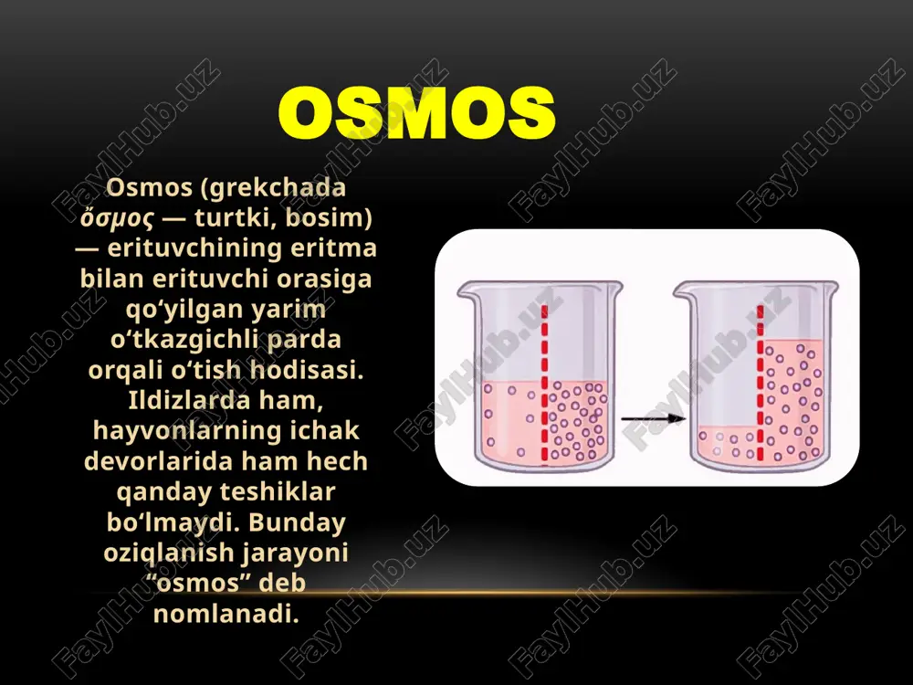 diffuziya va osmos xodisasi - Page 4