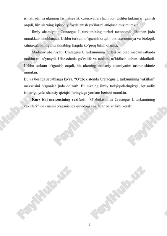 ida okruglar bo’yicha tarqalishi haqida ma’lumotlar keltirilgan. crataegus turkumining o’rganilish tarixi tahlillaridan ma’lum bo’ldiki, ular haqidagi dastlabki ma’lumotlar 1915 y. dan ilmiy asosda o’rganila boshlangan bo’lib, ilk namunasi 1 ta turdan iborat bo’lgan bo’lsa, “flora uzbekistana” ning uchinchi jildida 10 turi qayd etilgan. so’nggi yillarda botanik olimlar – k.sh. tojibayev, n.yu. beshko, f.i. karimovlar tomonidan 9 ta tur o’rganilgan. crataegus turkumi turlaridan o’zbekistonda o’rmon hosil qiluvchi, manzarali, dorivor hamda xalq xo’jaligida iste’molbop turlar sifatida keng foydalanish mumkin. shu bilan birga, botanik-geografik rayonlarga bo’lib chiqilganda, ushbu turkum turlari eng ko’p tarqalgan okrug hisor-darvoz; eng kam tarqalganlari esa markaziy sirdaryo, nurota va buxoro okruglarida ekanligi ma’lum bo’ldi. kelgusida ushbu turkum turlaridan respublikamizda o’rmonzorlar hosil qilishda, shuningdek, xalq xo’jaligida iste’molbop turlarni ko’paytirish va yetishtirish orqali ham foydalanish mumkin. turkum turlarini toshkent botanika bog’iga introduksiya qilish orqali ham ularni ilmiy-amaliy jihatdan to’liq o’rgangan holda kerakli sohalarda foydalanish mumkin quyida o’zbekiston florasidagi cra taegus turkumi …