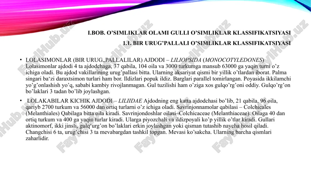 adonlar va oranjereyalarda oʻstiriladi). dorivor turlari (maye., omonqora) ham bor. dunyoda tarqalishi ixiolirion turkumi. 2.2. o’zbekistonda ixiolirion turkumi. ko'p yillik otsu o'simliklar , butunlay silliq. cho‘chqasi tuxumsimon, pardasimon jigarrang qobiqlar bilan qoplangan, uzunligi 1,5-2,5 sm. va qalinligi 1-1,5 sm. poyasi toʻgʻri yoki biroz kavisli, bargli, poyasi membranali qobiq bilan qoplangan , balandligi 15-35 sm. barglari chiziqsimon, ingichka uchli, asosan poyaning pastki qismida toʻplangan, pastkilari uzunligi 12-25 sm va kengligi 2-5 mm, ustkilari qisqaroq. poyaning tepasida pedikellarda 2-5 ta gul bor. perianth zangori-nilufar, tashqi bo'laklari nayzasimon, cho'qqisi bo'ylab buklangan va shuning uchun o'tkir, ichki bo'laklari bir xil uzunlikda, lekin bir oz kengroq, ellips-nayzasimon yoki cho'zinchoq-elliptik, kalta uchli yoki o'tkir, 3 tomirli. , uzunligi 18-30 mm va kengligi 6-7 mm. stamens ichki gulbarglarga qarama-qarshi bo'lib, ulardan bir oz qisqaroq va deyarli uslubga teng ; anterlar uzunligi 4-6 mm va kengligi 1-1,5 mm. tuxumdon cho'zinchoq -bo'ysimon shaklda, uzunligi 4-6 mm. yashilgulnamolar qabilasi — …