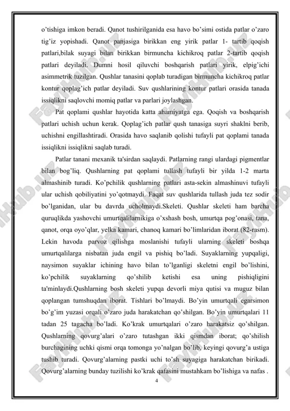 radi. shu sababdan qushlar daraxtdan yiqilib tushmaydi. qovurg’alar oralig’ida muskullar nafas olishda ko’krak qafasi hajmini o’zgartirish vazifasini bajaradi. bo’yin muskullari boshni harakatlanishi – burish, ko’tarish va tushirishda ishtirok etadi. bosh skeletining yengil bo'lishi tishlarning yo‘qolib ketishi va suyaklariningyupqalanishi bilan bog’liq bo‘lib, voyaga yetgan qushlar miyaqutisidagi barcha suyak choklari bilinmaydigan darajada bir-biriga qo‘shilib ketgan. suyaklararo choklarni faqat yosh qushlarning bosh skeletidagina ko'rish mumkin. ko'krak toj qismi oldingi oyoqlarni harakatga keltiruvchi muskullar rivojlanishi tufayli taraqqiy etgan. uchish layoqatini yo'qotgan qushlar (tuyaqushlar)da ko'krak toj suyagi yo‘q bo‘lib ketgan, biroq ba’zi qushlar (pingvinlar)da ko‘kral< toj suyagining saqlanib qolganligi ularning suvda suzishga moslashganligi bilan bog’liq. oldingi oyoq (qanot) skeletida tipik bo'limlarning hammasi bor, lekin ular uchishga moslashganligi uchun panjalari shaklan o'zgarib, qisman reduksiyalangan. bilaguzuk suyaklarining proksimal elementlari bir-biriga qo'shilib, ikkita kichkina suyakcha hosil qilgan bo’lsa, distal elementlari kaft suyagiga qo’shilib ketgan. kaft suyagi faqat ikkita uzunchoq suyakchadan iborat bo'lib, ularning proksimal hamda distal qismi qo’shilib …