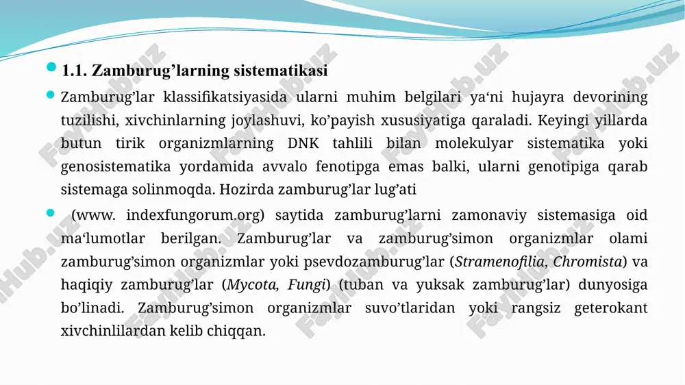 g’lar vegetativ, jinssiz va jinsiy usullarda ko’payadi. vegetativ ko’payish mitseliyning alohida bo’laklarga bo’linishi va kurtaklanish hisobiga bo’ladi. jinssiz va jinsiy ko’payish organlari turlicha ko’rinishda bo’lganligi uchun, ularning tuzilish xususiyatlari zamburug’larning sistematikasiga asos bo’lgan. jinssiz ko’payishi zoospora, sporangiospora, va konidiyasporalar ishtirokida boradi. zoosporalar va sporangiosporalar ona hujayra sporangiyda, konidiya esa mitseliyning uchida yoki yonida konidiyaband deb ataluvchi gifalarda hosil bo’ladi. bitta sporangiyda 10000 tagacha spora bo’ladi. jinsiy ko’payishi bir muncha reduksiyalangan bo’ladi, tuban zamburug’larda (izogamiya, oogamiya geterogamiya va zigogamiya ko’rinishida) ikkita jinsiy hujayra va ularning yadrolari qo’shilishi bilan yuzaga keladi. ba’zi bir turlarida jinsiy jarayon natijasida zigota, boshqalarida esa maxsus sporalar: xaltachali zamburug’larda endogen askosporalar, bazidiyalarda ekzogen bazidiosporalar hosil bo’ladi. bu sporalardan yangi zamburug’ tanasi rivojlanadi. zamburug’larning spora hosil qilish organlari: 1-sprolegniyaning zoosporangiyasi; 2-mog’orning sporangiysi; a,b-etilib yorilgan sporangiy; 3-penitsillning konidiyasporali konidiya bandi; 4-xaltachada askosporalar; 5-bazidiyasporalar. zamburug’arda jinsiy ko’payish xillari zamburug’larning evalutsiyasi. 2.1. bazidiyalar evalutiyasi. bazidiyali zamburug’lar ham zamburug’larning eng yirik guruhlaridan …