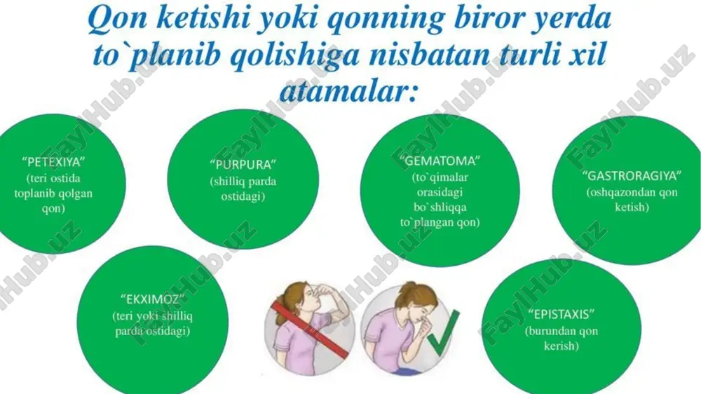 topografik anatomya va operativ xirurgiya - Page 4