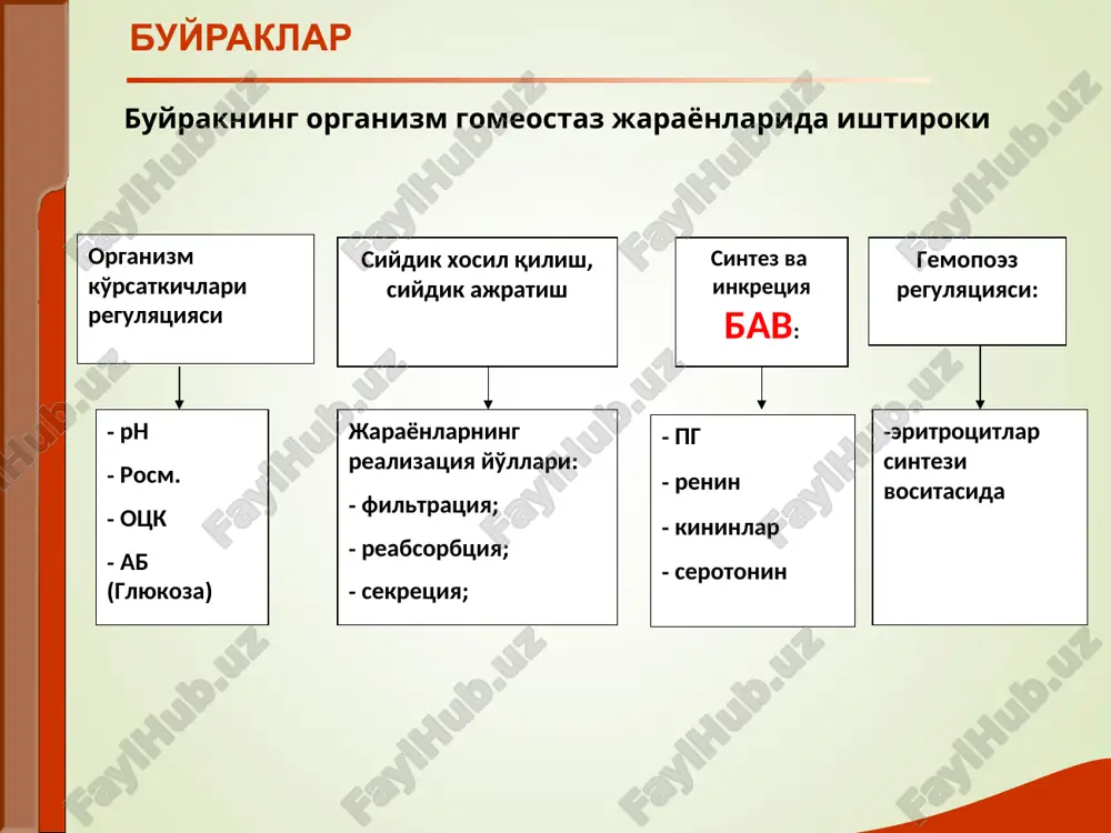 nchi qaerda paydo bo'ldi va qanday ketma ketlikda tarqaldi, qanchalik tez o'sib bordi. buyrak shishlari ko'proq ertalab, yuzlarda paydo bo'dadi, yumshok ya'ni bosganda iz kolmaydi, issik, rangpar xisoblanadi. suyuqlik bo'shliqlarda (gidrotoraks, gidroperikard, astsit, anasarka) kurinishida kuzatiladi. isitmalash buyrak patologiyali bemorlarda isitma infektsiya belgisi bo'lishi mumkin (masalan, tez-tez qaltirash va profuz terlash bilan kechsa asosan o'tkir (kamroq surunkali) pielonefritda, apostematoz nefritda),o'smalarda, nefrotik sindromdagi nefrotik krizda. buyrak tuberkulezida uzoq vaqt subfebril temperatura kuzatiladi. shuningdek nospetsifik isitmalash buyrak paraneoplastik zaralanishlari (boshqa lokalizatsiyadagi o'smalar)da kuzatiladi gipertonik sindrom bosh og'rig'i, yurak soxasida og'riq, bosh aylanishi . bu belgilar ab kutariladigan kasalliklarda kuzatiladi (o'tkir va surunkali glomerulonefrit, tomir nefrosklerozi, surunkali pielonefrit, ii-iii darajali buyrak tushishida). dispeptik shikoyatlar: ko'ngil aynishi, qusish, ich ketish, meteorizm surunkali buyrak etishmovchiligi uchun xarakterli. gemorragik xolatlar milk,burun,teri qonashi. ikkinchi darajali shikoyatlar: xolsizlik, tez charchash, xotira pasayishi, ish qobiliyatining pasayishi, o'yquning buzilishi, ko'rish yomonlashuvi, teri qichishishi, og'izdan noxush xid kelishi – surunkali buyrak …